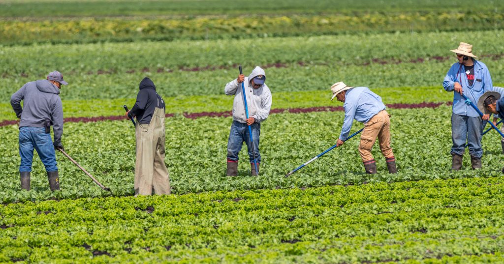 Un Robuste Système D’immigration Est La Clé De Notre Relance | Canadian ...